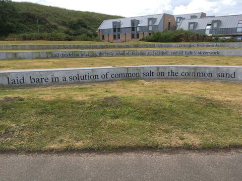 Installation. Black letters are engraved on three long bands of granite that march away from us on a grassy field. The words we can see read, “to pry apart sunbeam and find yellow like imperfect gilding, violet and purplish black lacquer of a lobster claw, bottle-green depths and dandelion interiors, the frilly white of shoreline and seashell, and all light’s silverwork laid bare in a solution of common salt on the common sand”.